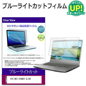 AYA NEO AYANEO SLIDE [6インチ] 保護 フィルム カバー シート ブルーライトカット 光沢 液晶保護フィルム 互換品 有償交換保証付き