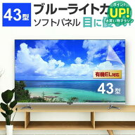 液晶テレビ保護パネル 43型 ブルーライトカット テレビ保護パネル 43インチ bravia ブラビア viera ビエ…