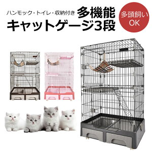 LbgP[W ^ 3i LX^[ bN gC [ 