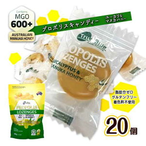 プロポリス キャンディー/のど飴 ユーカリ&マヌカハニー MGO600+ 20個 ポイント消化 送料無料 お試し バラ売り 飴 PROPOLIS LOZENGES