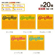 【宅急便】カロリーメイト ブロック　5種類セット×各4箱　計20箱　バニラ・チョコ・チーズ・メープル・…