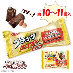 ubNT_[~jo[@A[hw[[ibc@10`11×1܁@v10`11@|Cg@@`R[g@َq@Lyف@ď͗n鋰ꂪ܂