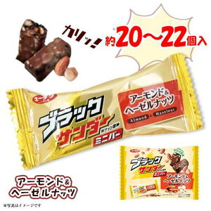 ubNT_[~jo[@A[hw[[ibc@10`11×2܁@v20`22@|Cg@@`R[g@َq@Lyف@ď͗n鋰ꂪ܂