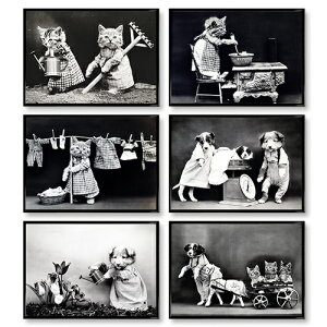 A4|X^[@mN@6_Zbg@}bgR[g@mg[@CeA@@ʐ^@A[g|X^[@Ǐ@re[W@LE@CO|X^[