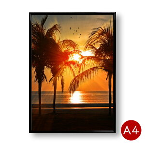 A4|X^[@V̖؂ɒޗ[@}bgR[g@CeA@iF@i@ʐ^@A[g|X^[@|Cg@