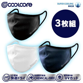 クールコア 冷感メカニズムマスク＜3色3枚組＞（14x17x7cm）coolcore COOLING MASK クールコアマスク スポーツマスク 洗える【お一人様1セット限り】