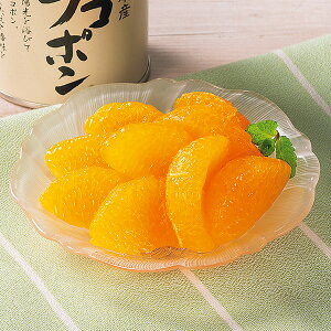 熊本県産デコポン缶詰 10缶セット