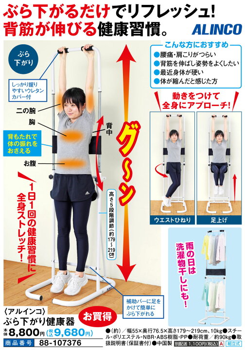 楽天市場】アルインコ ぶら下がり健康器 : はぴねすくらぶ 楽天市場支店