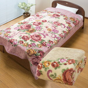 ѕzANj[}C[ѕz2Fg 1(sN) 1(x[W)