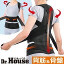 Dr.House 背筋骨盤補正ダブルベルト＜1枚 2枚組｜M L＞はぴねすくらぶ TVショッピング