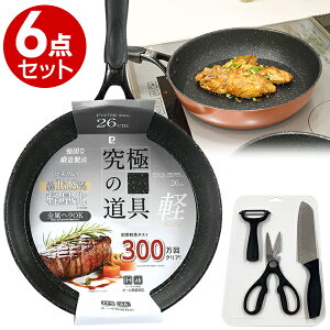 ɂ̓ IHΉ300tCp6_Zbgy͂҂˂ԃWIVbsOz