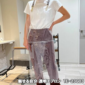 Gv TE-23G03 jp t[TCY