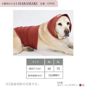 LPApi y^vX HARAMAKI Lp XS 9,900~`5L 15,000 (CP602) 8TCY ybgEFA  ͂܂
