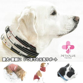 犬猫ケア用品 ペタプラス YORISOUカラー 犬用首輪 XS 8,800円～L 9,900 (CP601) 4サイズ　ペット 首輪