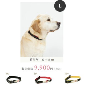 犬猫ケア用品 ペタプラス YORISOUカラー 犬用首輪 XS 8,800円～L 9,900 (CP601) 4サイズ　ペット 首輪