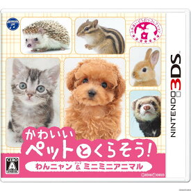 楽天市場 シマリス ペット ショップの通販 楽天市場 シマリス ペット ショップの通販
