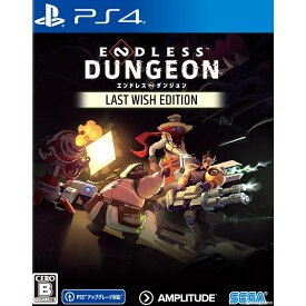 【新品即納】[PS4]予約特典付(Pioneer Elite スキンパック) ENDLESS&trade; Dungeon Last Wish Edition(エンドレス ダンジョン ラストウィッシュ エディション)(20240118)