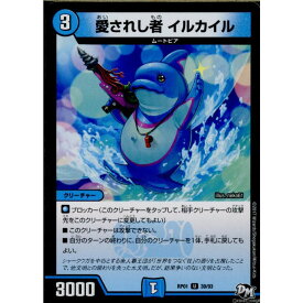 楽天市場 イルカイルの通販