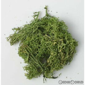 【新品】【お取り寄せ】[RWM] 24-333 ランドスケープ システム 天然素材プランツ(ミディアムグリーン) Nゲージ 鉄道模型 KATO(カトー)/WOODLAND SCENICS(ウッドランドシーニックス)(20211120)