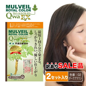 ヘアカラー 白髪染め 簡単の人気商品 通販 価格比較 価格 Com