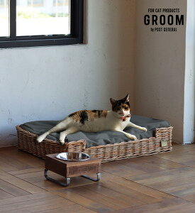˂xbh oC W AO GROOM O[ CAT BED BY THE AROROG ^ Lxbh VRf ҂ ʋC  CeA i` LpƋ k