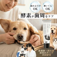 【獣医師×薬剤師監修】デンタルケア ジェル 犬 口臭ケア 猫 口臭対策 歯磨き ジェル 舐めるだけ 犬 歯磨…