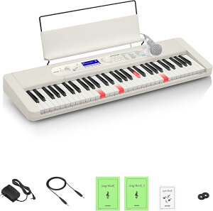 Vi JVI(CASIO)irQ[VdqL[{[h LK-520(zCg) 61 ^b`X|Xt XfUC