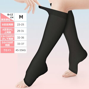  \bNX   ɘa eXgbLO ×p NbY pPA  \bNX ܐ斳 ×pXgbLO e\bNX ނ݂\bNX \bNX ӂ