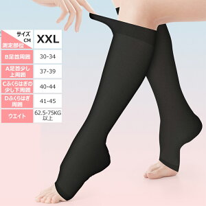  \bNX   ɘa eXgbLO ×p NbY pPA  \bNX ܐ斳 ×pXgbLO e\bNX ނ݂\bNX \bNX ӂ