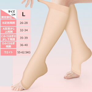 _N[|1999~+P5{^  \bNX ×p  ɘa eXgbLO ×p NbY pPA  \bNX ܐ斳 e\bNX ނ݂\bNX \bNX 