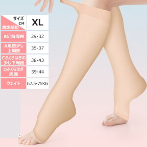  \bNX ×p  ɘa eXgbLO ×p NbY pPA  \bNX ܐ斳 e\bNX ނ݂\bNX \bNX ӂ͂ C f