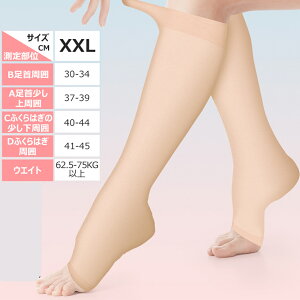  \bNX ×p  ɘa eXgbLO ×p NbY pPA  \bNX ܐ斳 e\bNX ނ݂\bNX \bNX ӂ͂ C f
