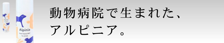 アルピニア、胆泥ケア、皮膚ケア