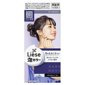 【花王】リーゼ 泡カラー ダークネイビー 100ml＋8g 黒髪用ヘアカラー 〔医薬部外品〕 ※お取り寄せ商品