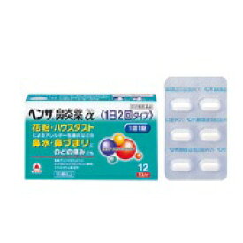 楽天市場 ベンザ鼻炎薬a 1日2回の通販