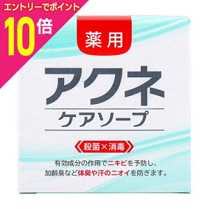 【ポイント10倍:10月まるまるお得 ※要エントリー】【クロバーコーポレーション】薬用アクネケアソープ DLC-AC 80g 〔医薬部外品〕