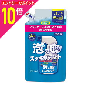 【ポイント10倍:10月まるまるお得 ※要エントリー】【ライオンケミカル】泡のスッキリデント マウスピース、部分・総入れ歯兼用洗浄剤 詰替用 270ml