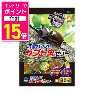 y|Cgv15{F10܂܂邨 vGg[zy}JzLoCIJug[[ 16g×30 ybgpi 񂹏iyܖF3ȏz