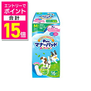 y|Cgv15{F11܂܂邨 vGg[zyqށz}i[pbhActive M 16 ybgpi 񂹏i