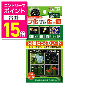 y|Cgv15{F11܂܂邨 vGg[zyj`hEzuCVv 24cc ybgpi 񂹏i