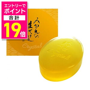 y|Cgv19{F11܂܂邨 vGg[zy|Cg10{zyUYEKIiEGLjz ݂̐ Ō`^Cv 90g 񂹏i