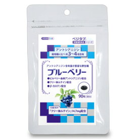 【定形外郵便☆送料無料】【ビタトレールの栄養補助食品】ベジタブ ブルーベリー 90粒 （30日分）