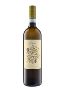 [2022] �O���b�� �A�J�V�A -�J���e�B�[�l�E�R���[�V-�@Grillo Acacia -Cantine Colosi-