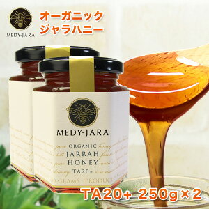 N[|ōő20OFFΏ Wnj[ TA 20+ 250g×2{Zbg (500g) }kJnj[ƓľʂEō̌N I[XgAEI[KjbNF I ͏ؖt 