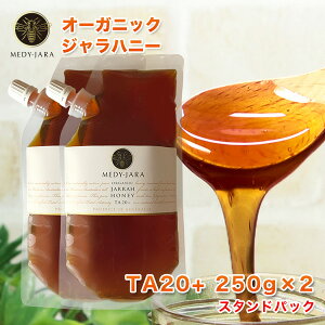 GRpbNSALE N[|10OFF Wnj[TA 20+ 250g X^hpbN ×2Zbg (500g) }kJnj[ƓľʂEō̌N I[XgAEI[KjbNF I