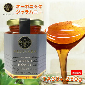 y߂ĂzWnj[ TA 30+(250g) }kJnj[ƓľʂEō̌ŃI I[XgAEI[KjbNF I ͏ؖt M ݂͂ honey 