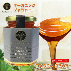 y󂠂zOUTLETZ[ Wnj[ TA 30+ 250g }kJnj[ƓľN I[XgA I[KjbNF I ͏ؖt M ݂͂ honey n`~c yz