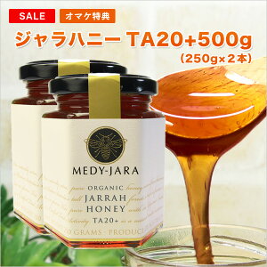 X[p[SALEڋʓI}PTt Wnj[ TA 20+ 250g ×2{Zbg (500g) }kJnj[ƓľŃI I[XgAEI[KjbNF I ͏ؖt M ͂