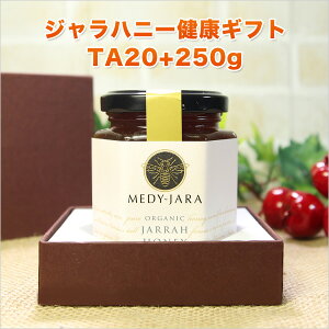 yN̑蕨zMtg Wnj[ TA 20+ 250g }kJnj[ƓľN I[XgAEI[KjbNF I yNzyjzyzyΕzyzy