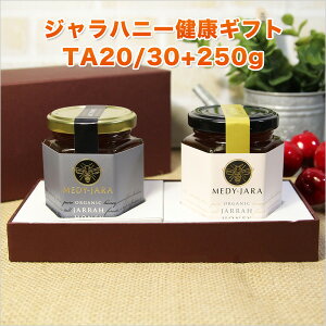 yN̑蕨zMtg Wnj[ TA 30+20+ e250g 2{Zbg }kJnj[ƓľN I[XgAEI[KjbNF I yNzyjzyzyΕz